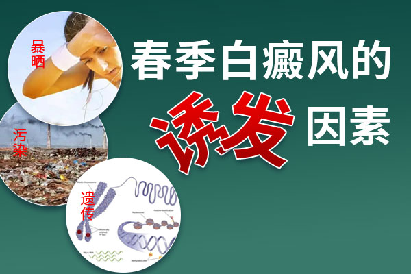 诊断治疗-白癜风怎样治疗恢复更好
